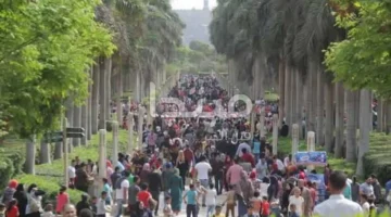 الأرصاد تكشف تأثير ظاهرتين جويتين على طقس أول أيام عيد الفطر 2026